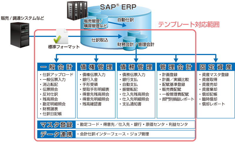 SIDEROS® FI TEMPLATE for SAP® ERP